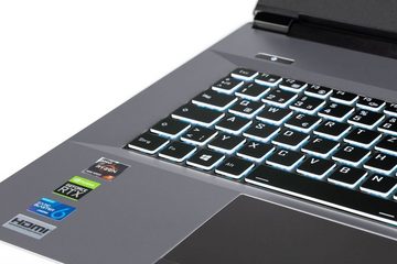 CAPTIVA Advanced Gaming R65-678CH Gaming-Notebook (43,9 cm/17,3 Zoll, AMD Ryzen 7 5800H, GeForce RTX 3060, 2000 GB SSD)