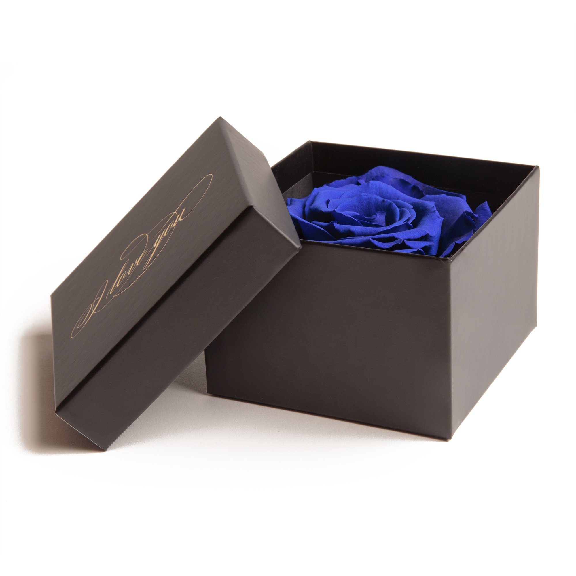 Blau Rose, Box Echte Liebesbeweis Love Kunstblume Idee konserviert ROSEMARIE 6 I SCHULZ Rose You Heidelberg, Geschenk Höhe Infinity cm, Rose