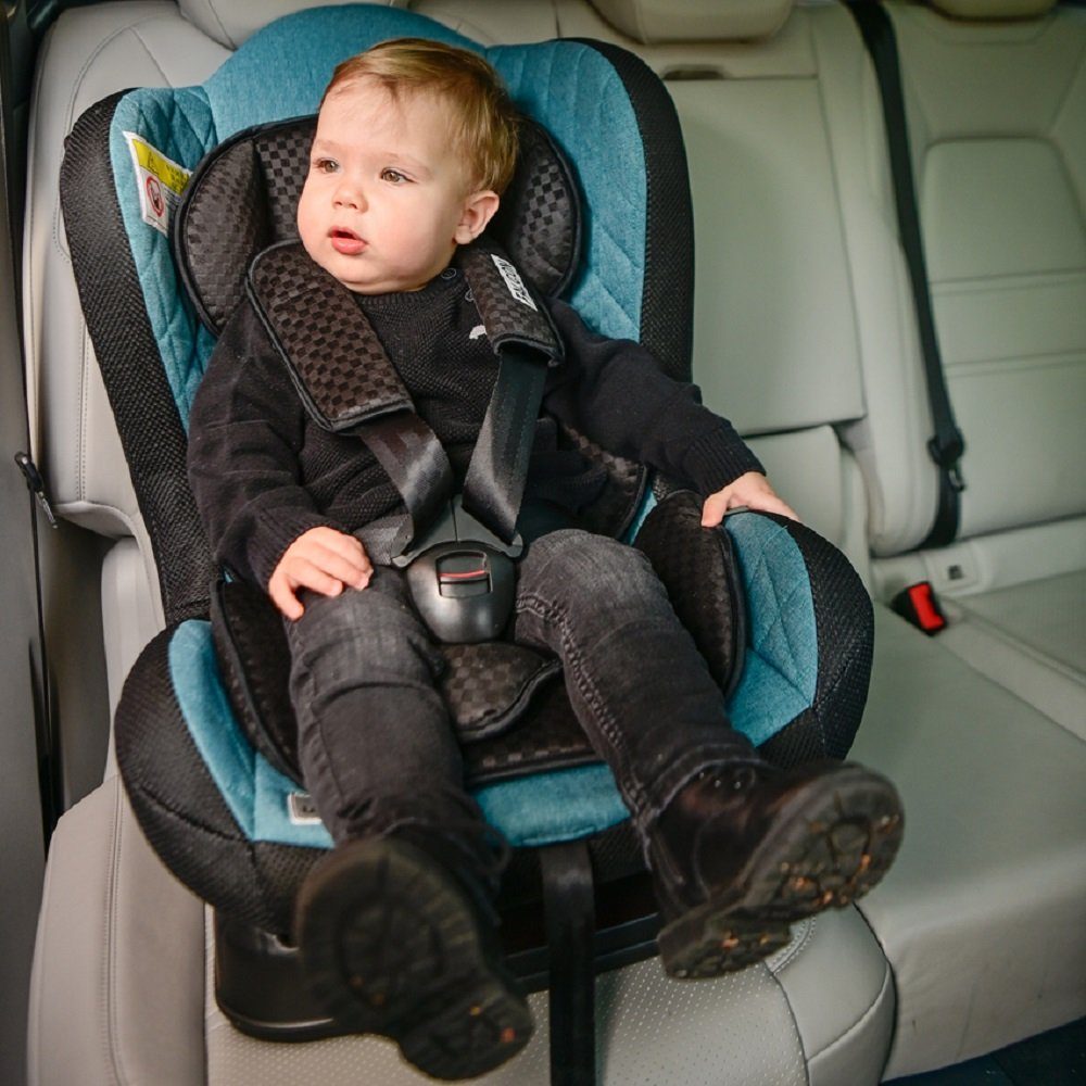 Kinder Kindersitze Lorelli Autokindersitz Kindersitz Falcon Gruppe 0+/1, bis: 18 kg, (0-18 kg) Reboard verstellbare Rückenlehne