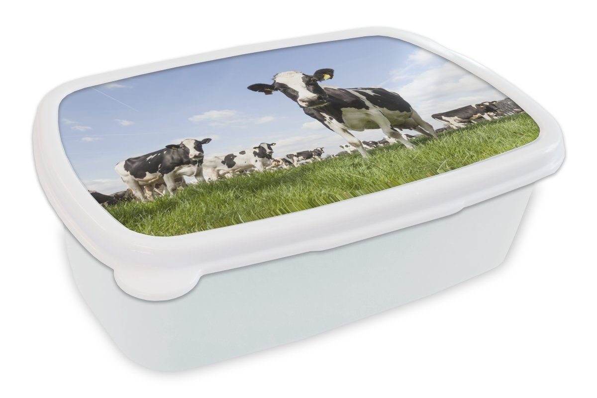 Erwachsene, und MuchoWow Tiere Brotbox weiß Kinder - (2-tlg), Sonne - Bauernhof, - für Jungs Kunststoff, Lunchbox Kühe Gras - und Mädchen für Brotdose,