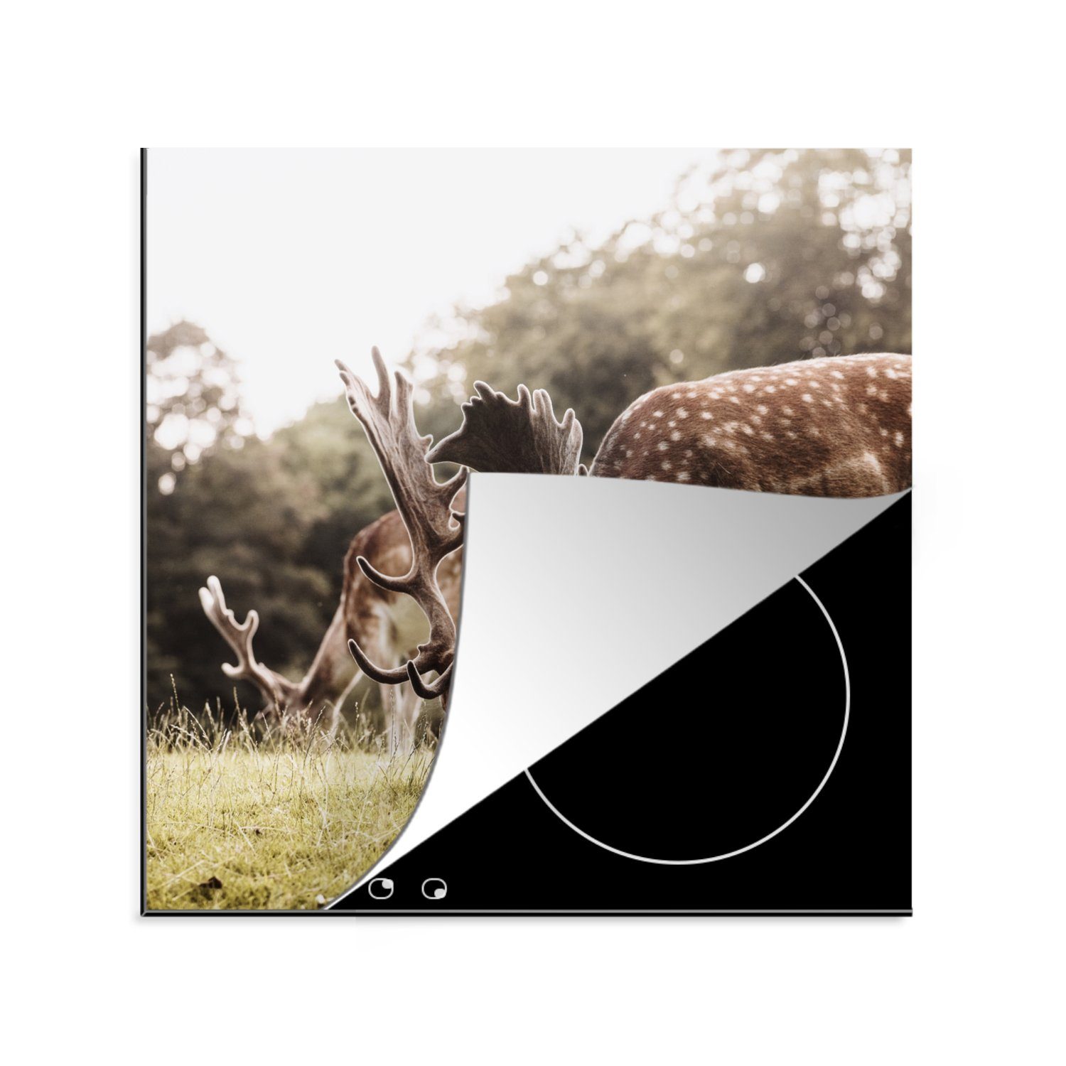 MuchoWow Herdblende-/Abdeckplatte Dänemark - Hirsche - Gras, Vinyl, (1 tlg), 78x78 cm, Ceranfeldabdeckung, Arbeitsplatte für küche