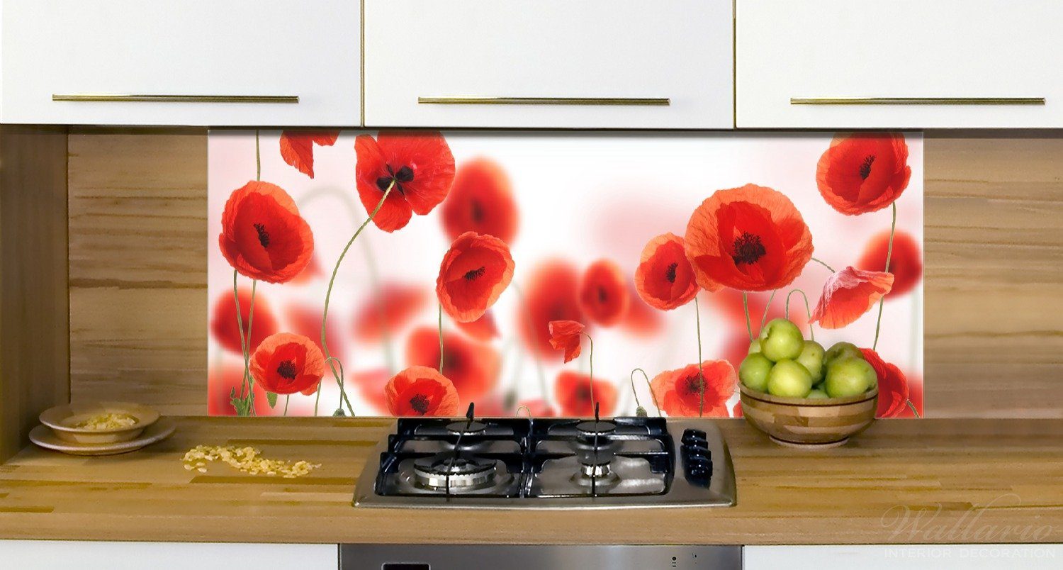 Wallario Küchenrückwand (1-tlg) - Mohnblumen Mohnblumenblüten, Rote Leuchtende