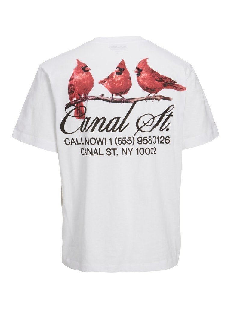 Jack & Jones Kurzarmshirt JORTEAM WATERCOLOR günstig online kaufen