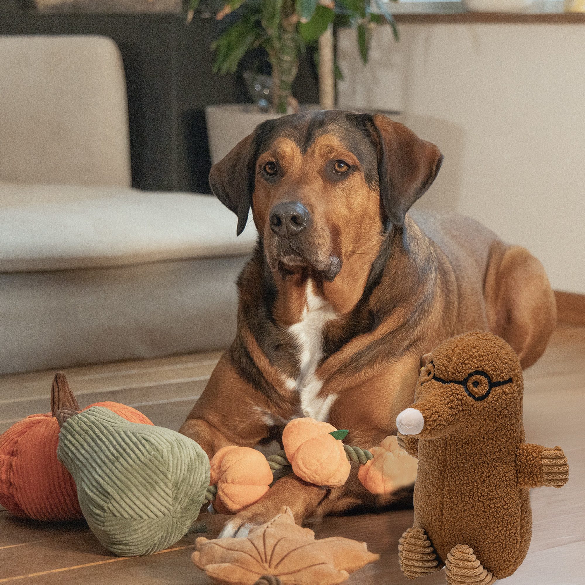 Karlie Tierkuscheltier Beeztees, Plüsch, (1-tlg)