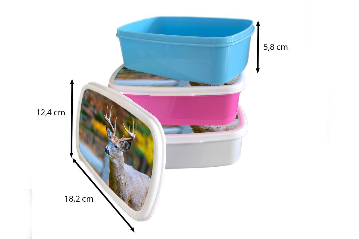 Lunchbox Kinder, Brotbox - Kunststoff, Tierkopf Kunststoff Mädchen, Wasser, Hirsche rosa (2-tlg), MuchoWow Brotdose Erwachsene, Snackbox, für -