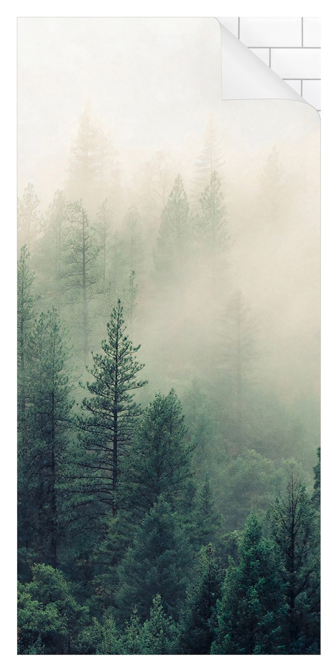 Bilderdepot24 Duschrückwand Fliesen Wald grün Duschrückwand ohne Bohren Dusche Natur, (1-tlg., 0,61 mm starke Folie selbstklebend Wandpaneele Dusche versch. Größen), fugenlose & wasserfeste Motiv Rückwand Wandverkleidung für Duschkabine