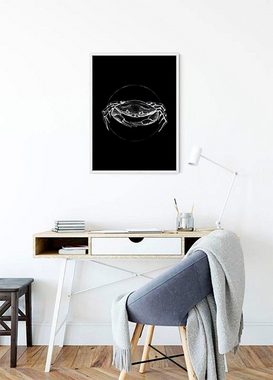 Komar Poster Crab Black, Tiere (1 St), Kinderzimmer, Schlafzimmer, Wohnzimmer