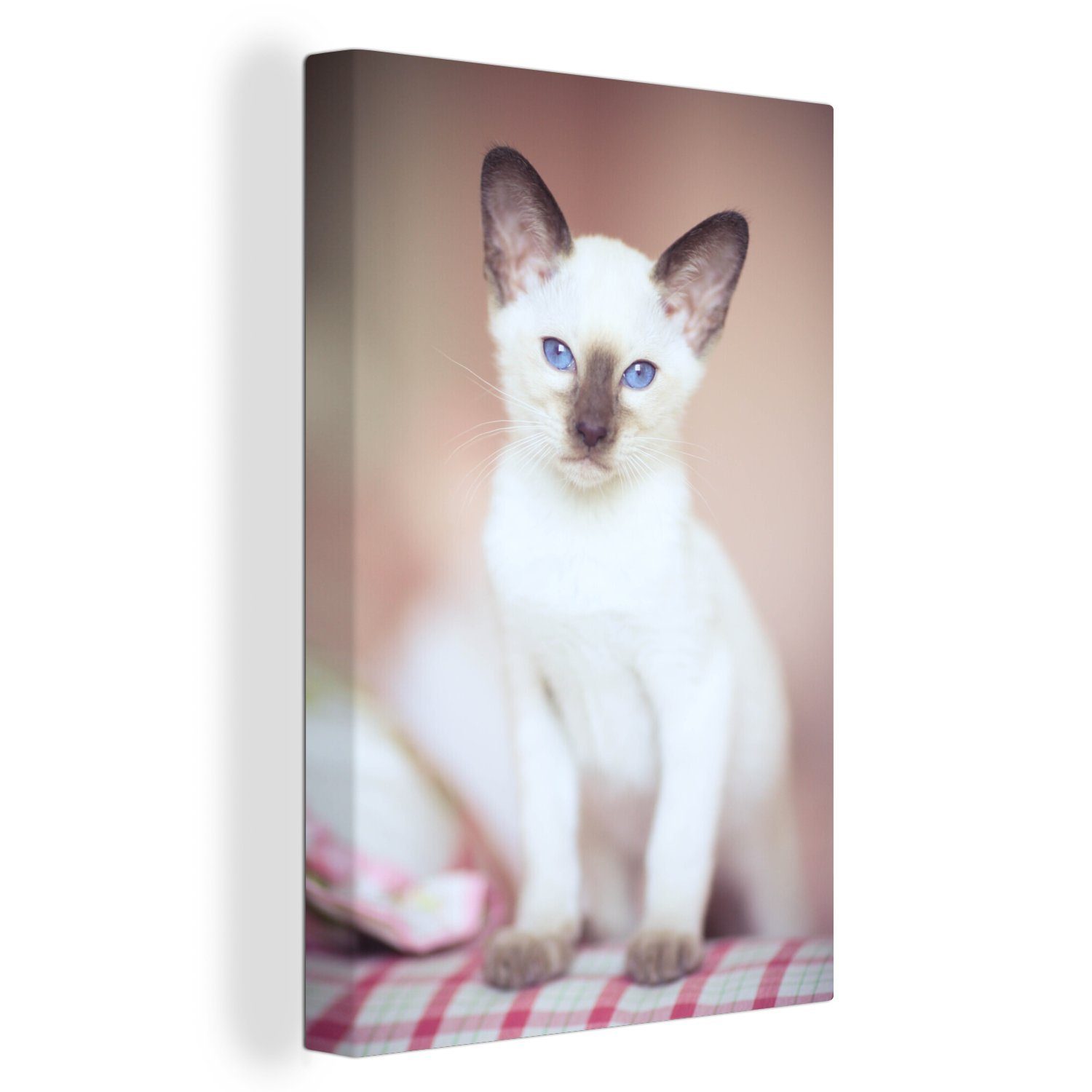 OneMillionCanvasses® Leinwandbild Weiße Siamkatze auf einem Tischtuch, (1 St), Leinwandbild fertig bespannt inkl. Zackenaufhänger, Gemälde, 20x30 cm