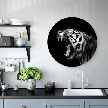 K&L Wall Art Gemälde Metallposter Rund Safari Tiger Waldtiere Wilde Katze Meermann, Metalloptik Wandbild Ø 30cm