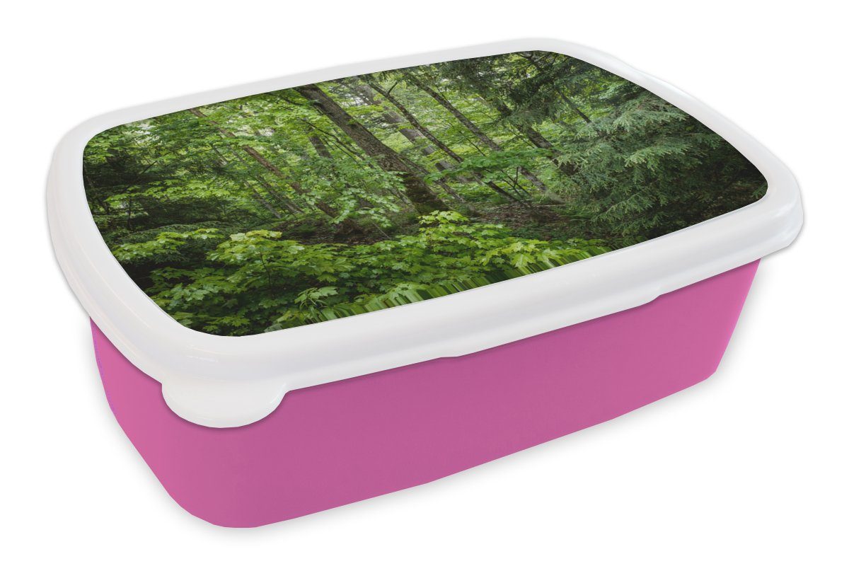 Snackbox, Kunststoff, Baum Kunststoff Kinder, (2-tlg), Brotbox Erwachsene, - für Grün, - Wald MuchoWow Lunchbox Mädchen, Brotdose rosa
