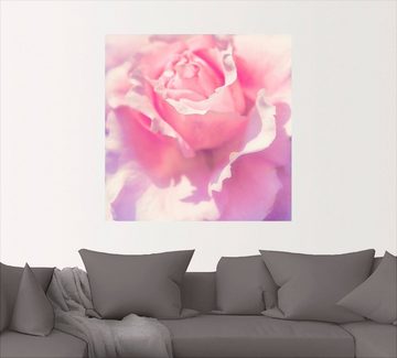 Artland Wandbild Rosa, Blumen (1 St), als Leinwandbild, Poster, Wandaufkleber in verschied. Größen