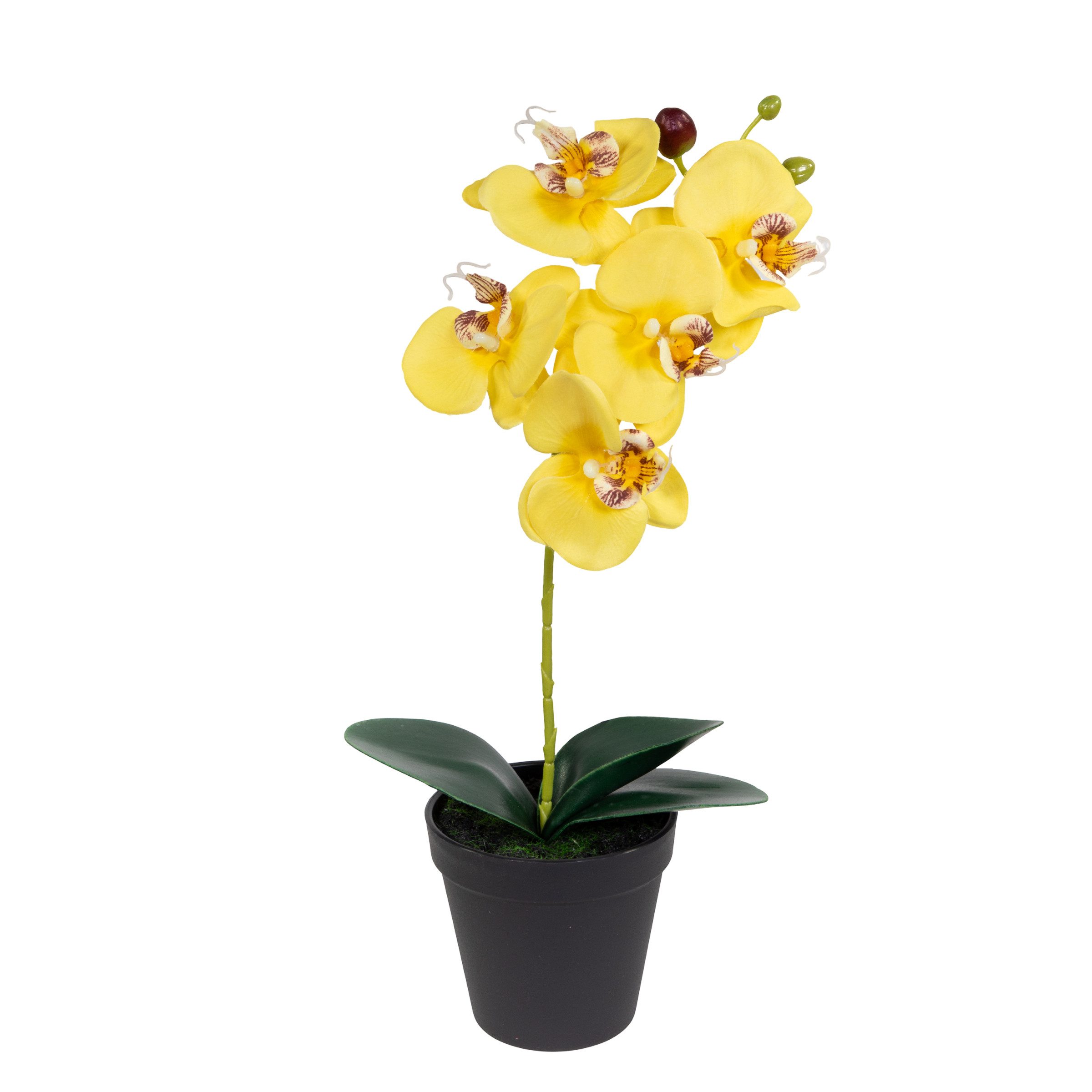 Kunstblume Künstliche Orchidee 38cm im Topf LA Phalaenopsis mit Textilblüten, Seidenblumen Roß, Höhe 38,00 cm, Farbe: Gelb – Bild 2 von 5