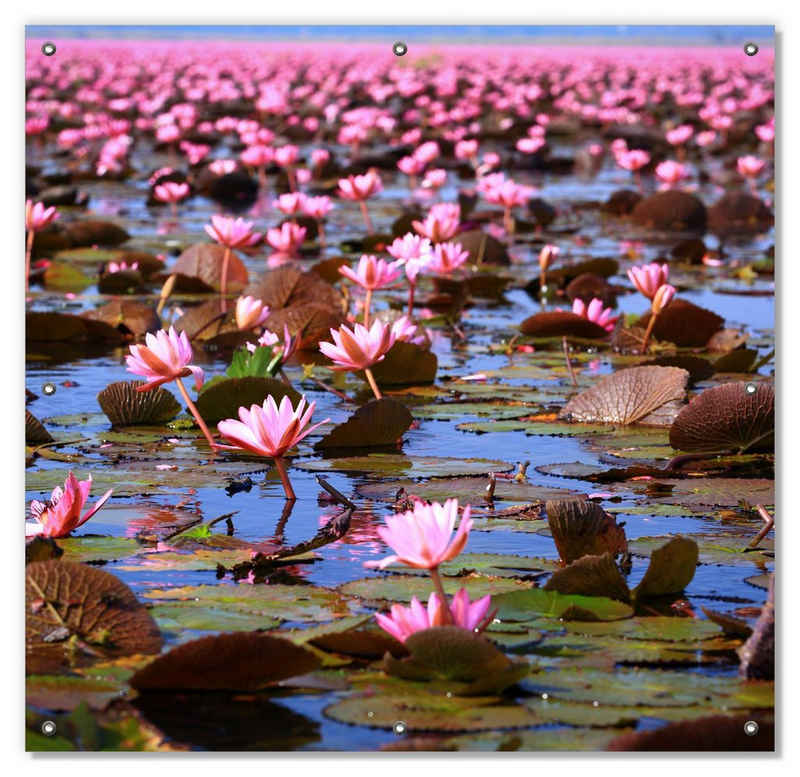 Sonnenschutz Seerosenlandschaft mit rosa Blüten, Wallario, blickdicht, mit Saugnäpfen, wiederablösbar und wiederverwendbar