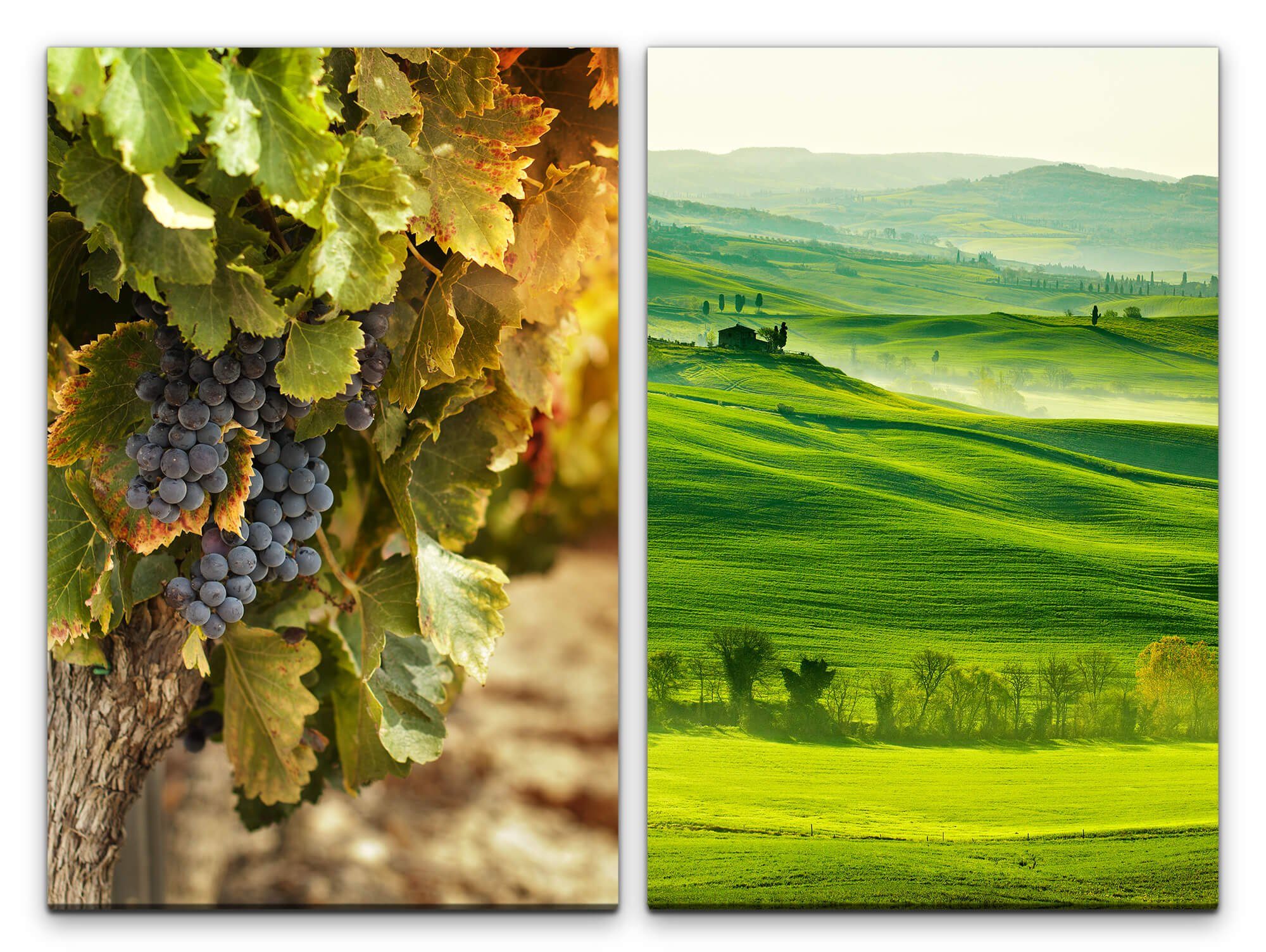 Sinus Art Leinwandbild 2 Зображення je 60x90cm Toskana Italien Weintrauben Weinreben Mediterran Hügel Natur