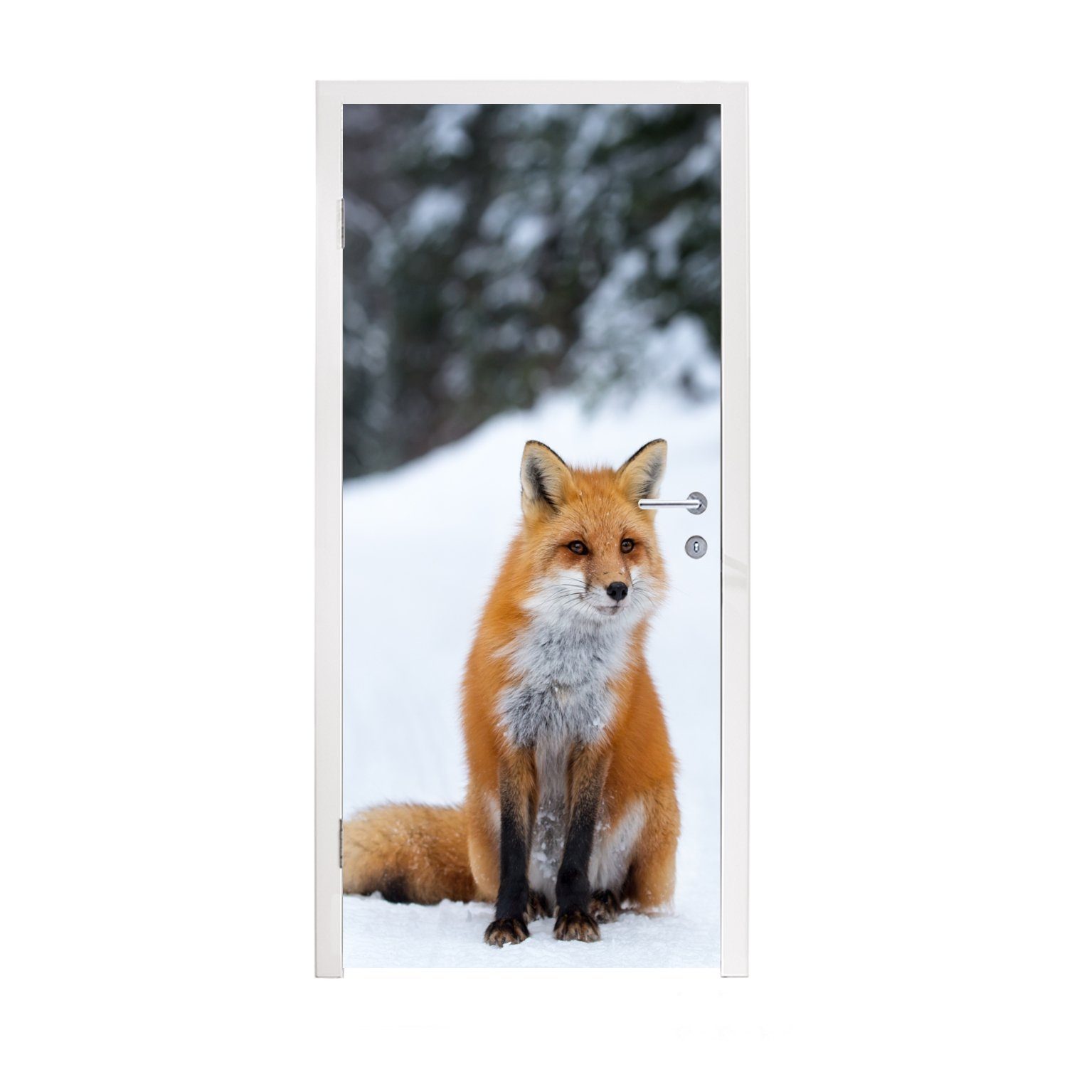 MuchoWow Türtapete Fuchs - Schnee - Wald, Matt, bedruckt, (1 St), Fototapete für Tür, Türaufkleber, 75x205 cm