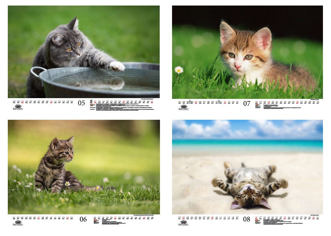 Seelenzauber Wandkalender Katzenzauber DIN A3 Kalender für 2026 KatzenKatzenbabys - Seelenzauber