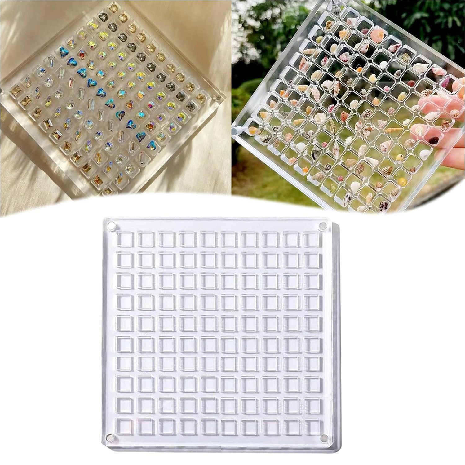 Refttenw Aufbewahrungsbox Acryl Seashell Display Box Sammelkoffer Muschel-Displaybox 12x12cm (2 St)