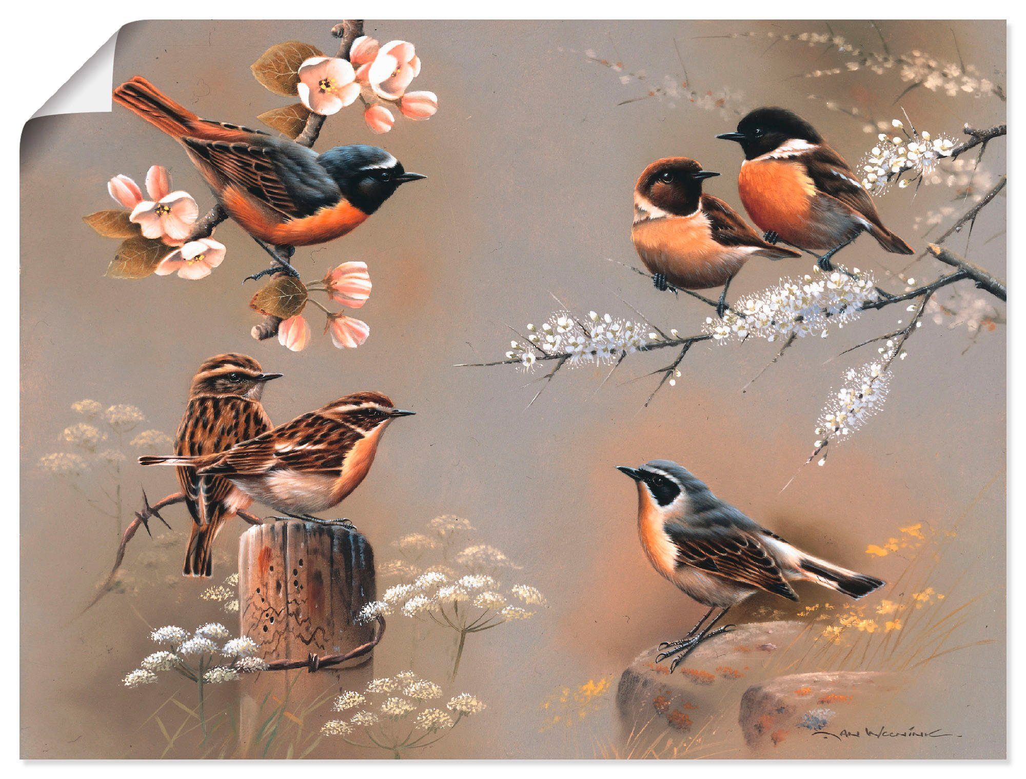 Artland Wandbild Vogel Komposition, Vögel (1 St), als Leinwandbild, Wandaufkleber oder Poster in versch. Größen