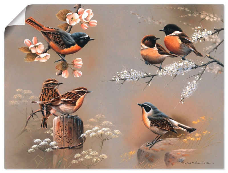 Artland Wandbild »Vogel Komposition«, Vögel (1 St), in vielen Größen & Produktarten -Leinwandbild, Poster, Wandaufkleber / Wandtattoo auch für Badezimmer geeignet
