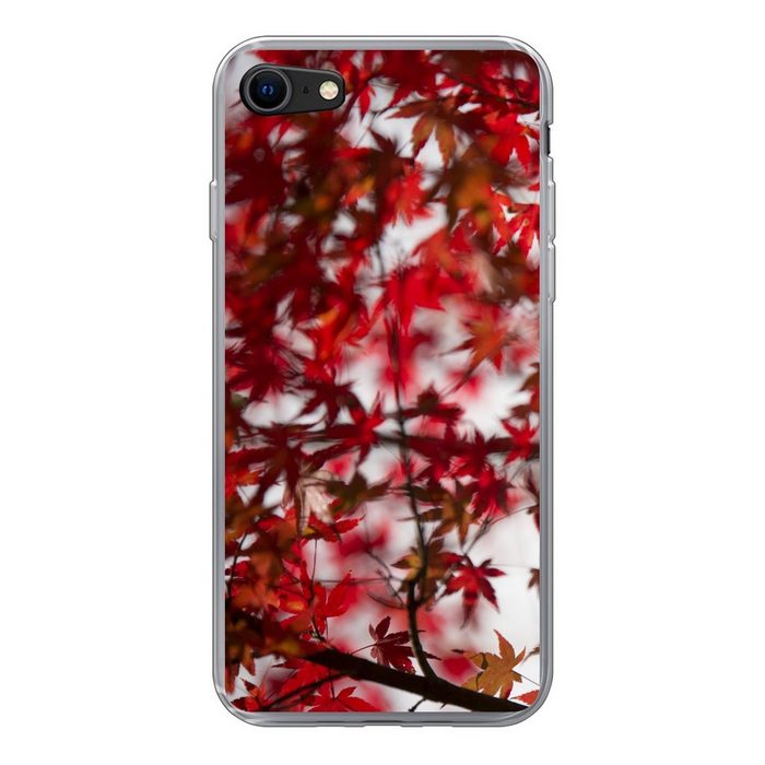 MuchoWow Handyhülle Rote Blätter eines japanischen Ahorns Handyhülle Apple iPhone SE (2020) Smartphone-Bumper Print Handy