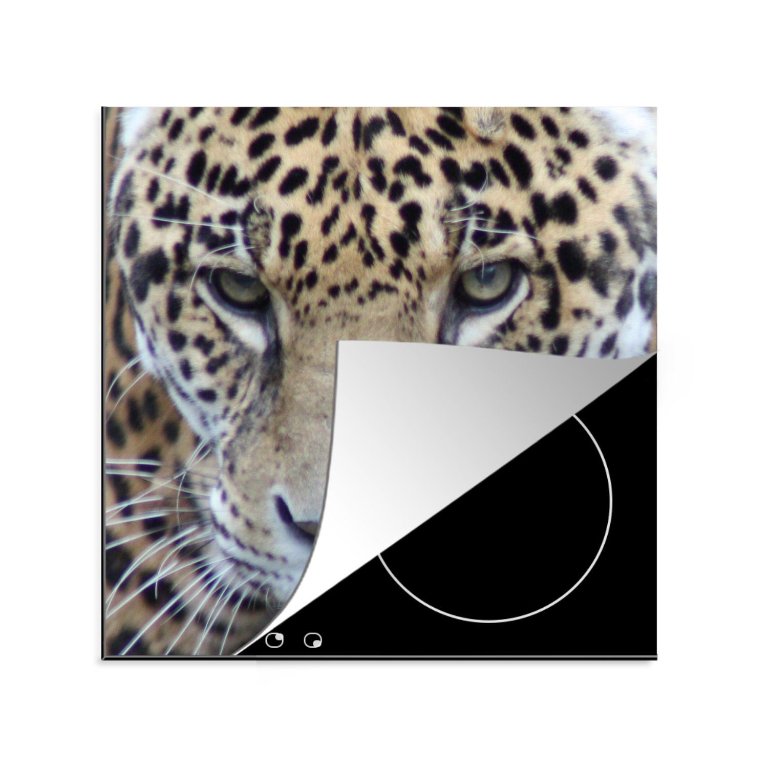 MuchoWow Herdblende-/Abdeckplatte Jaguar - Raubtier - Augen, Vinyl, (1 tlg), 78x78 cm, Ceranfeldabdeckung, Arbeitsplatte für küche