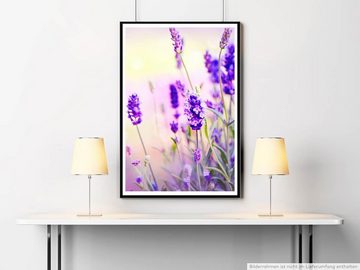 Sinus Art Poster 60x90cm Naturfotografie Poster Wunderschöner Lavendel Bilder für zu Hause