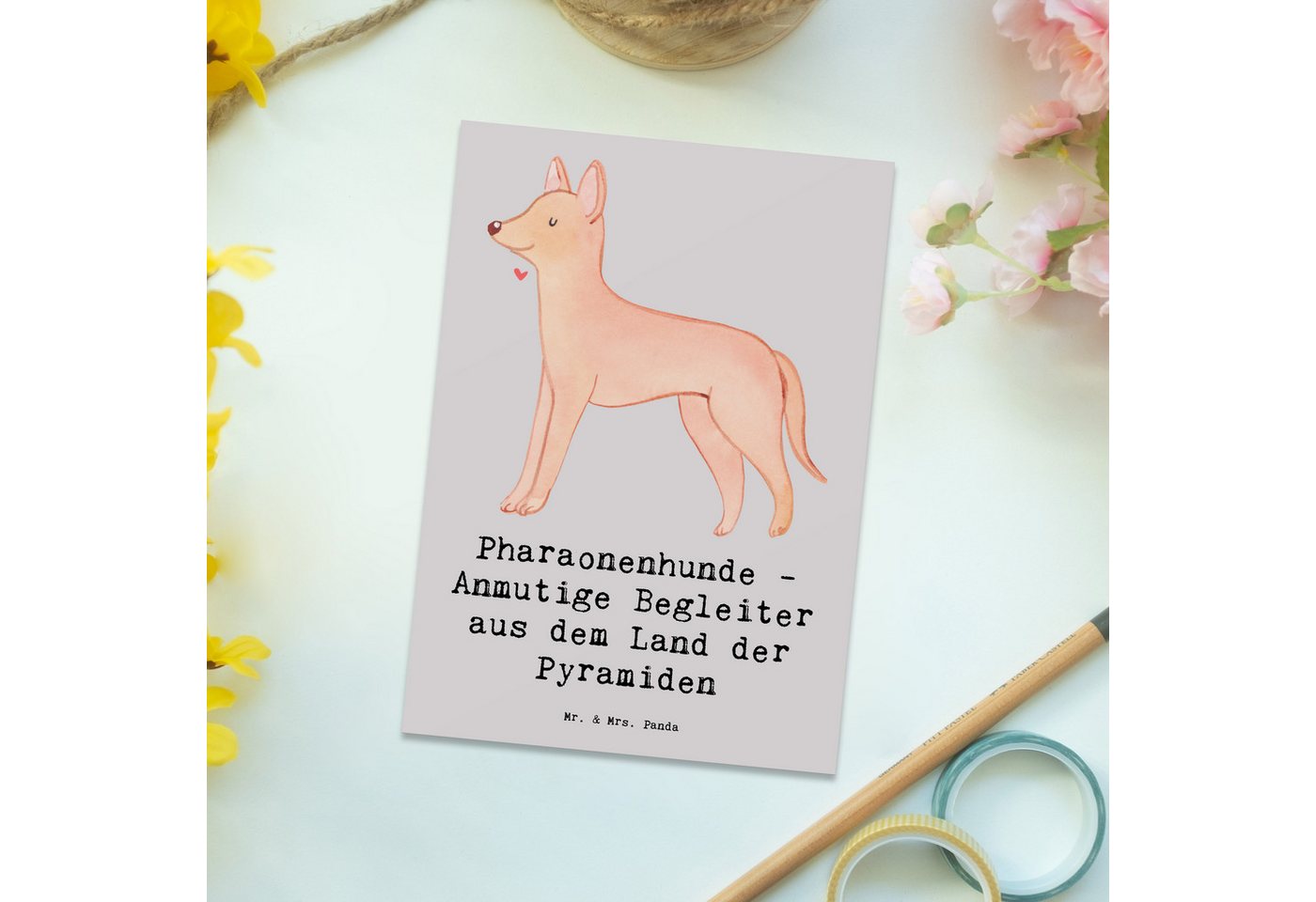 Thumbnail - Mr. & Mrs. Panda Postkarte Pharaonenhund Freunde - Grau Pastell - Geschenk, Land der Pyramiden