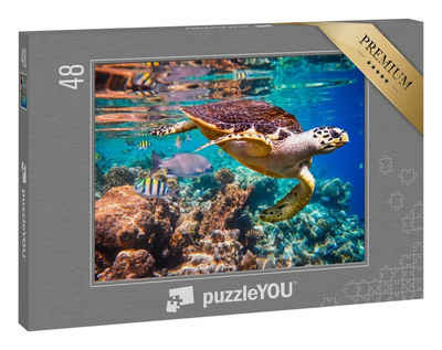 puzzleYOU Puzzle »Echte Karettschildkröte im Korallenriff«, 48 Puzzleteile, puzzleYOU-Kollektionen Tiere, 48 Teile, 200 Teile, 500 Teile, 100 Teile, 2000 Teile, 1000 Teile