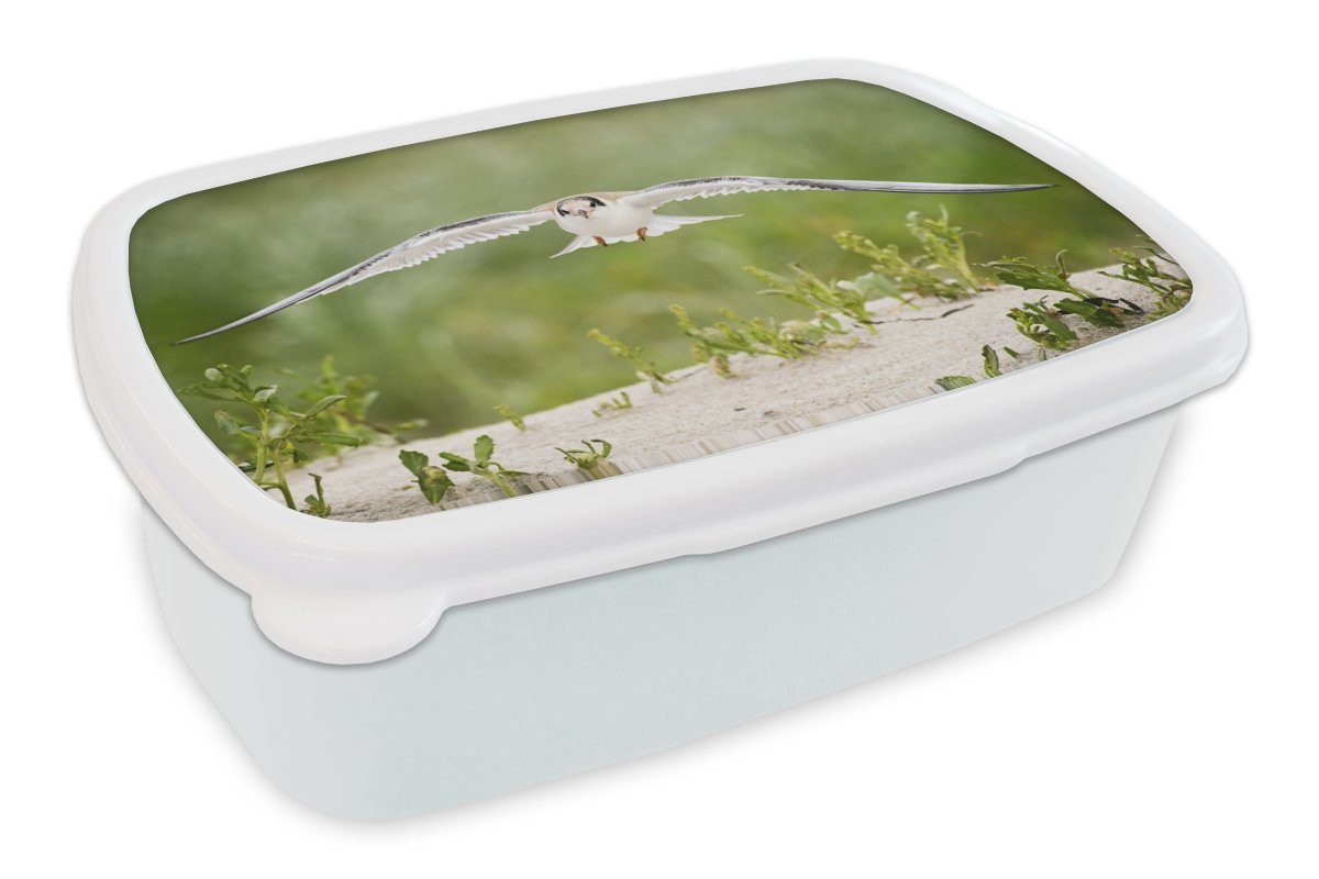 MuchoWow Lunchbox Vogel - Sand - Pflanzen, Kunststoff, (2-tlg), Brotbox für Kinder und Erwachsene, Brotdose, für Jungs und Mädchen weiß