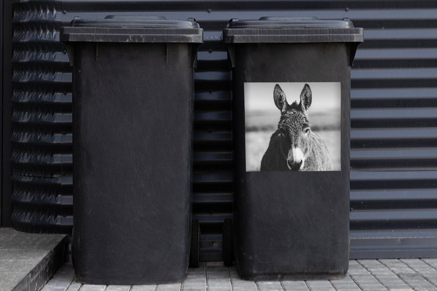 Mülltonne, Schwarz - (1 Sticker, - - Mülleimer-aufkleber, Abfalbehälter MuchoWow Weiß Wandsticker St), Esel Container, Tiere