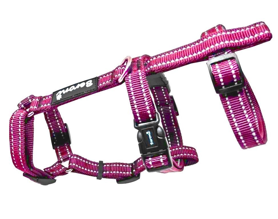 Beroni Sicherheitsgeschirr Katzengeschirr Beroni Safety Harness günstig online kaufen