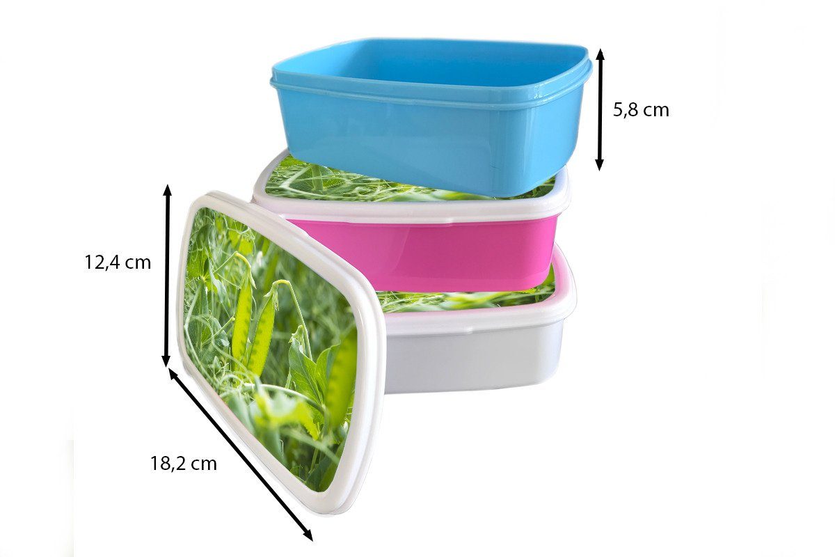 Erwachsene, (2-tlg), Brotbox - Grün für Jungs Mädchen Kinder Bohnen, - Lunchbox Brotdose, und für und weiß MuchoWow Gemüse Kunststoff,