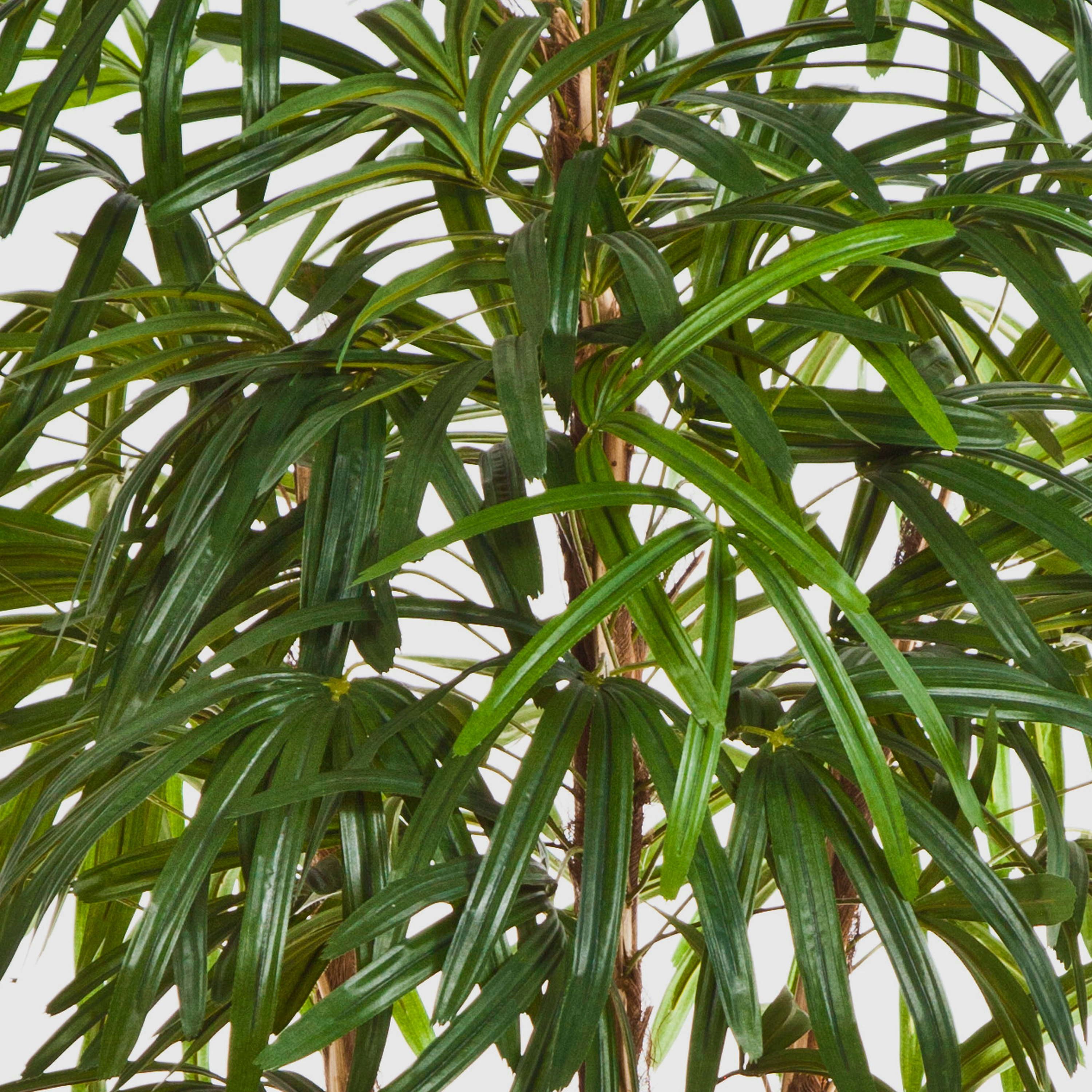 Kunstpalme Künstliche Steckenpalme, 789 Blätter, 170cm Steckenpalme, artplants, Höhe 170.0 cm