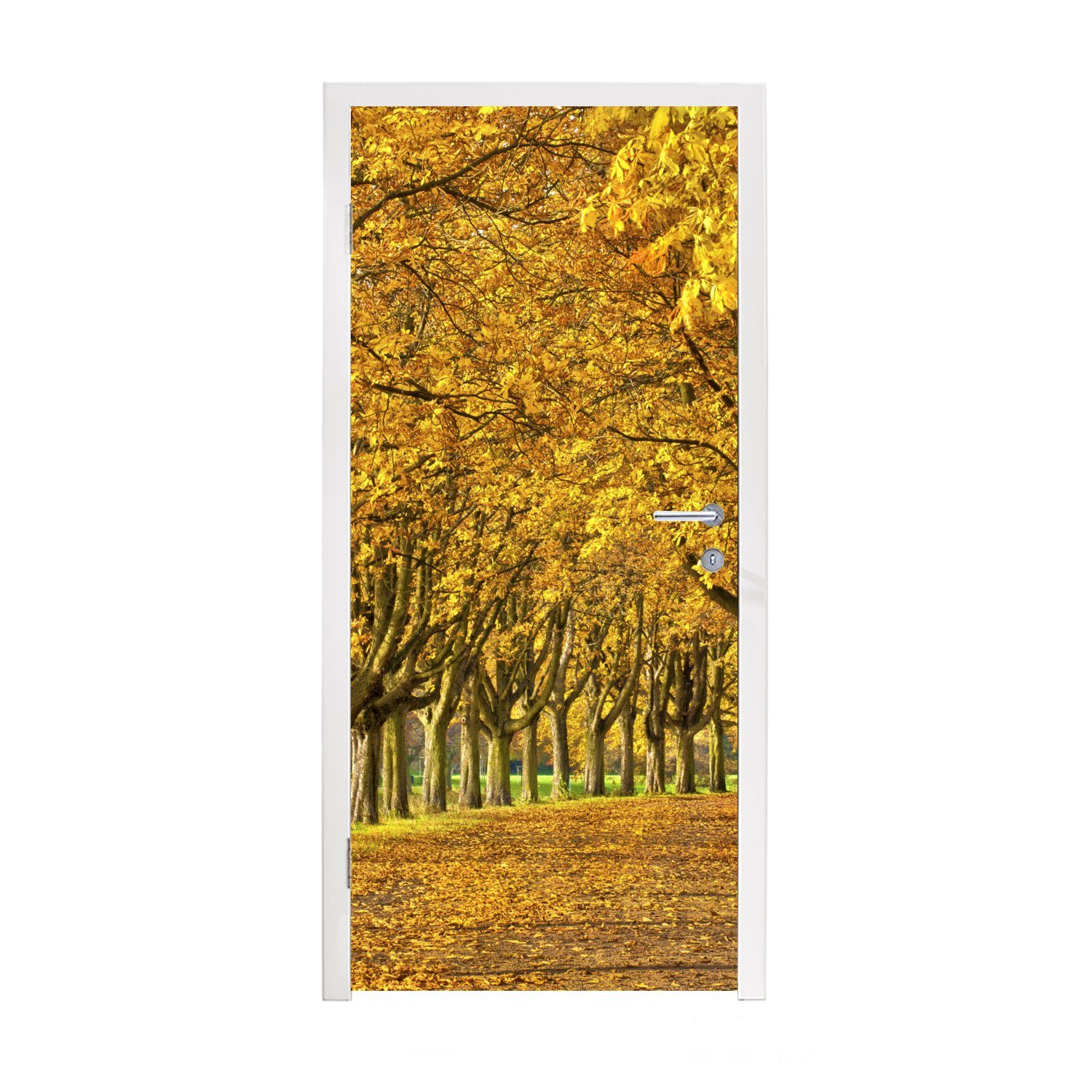 MuchoWow Türtapete Viele Kastanienbäume im europäischen Deutschland, Matt, bedruckt, (1 St), Fototapete für Tür, Türaufkleber, 75x205 cm