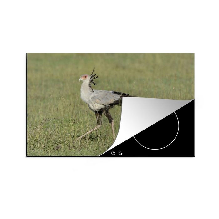 MuchoWow Herdblende-/Abdeckplatte Sekretär Vogel geht durch das Gras Vinyl (1 tlg) induktionskochfeld Schutz für die küche Ceranfeldabdeckung
