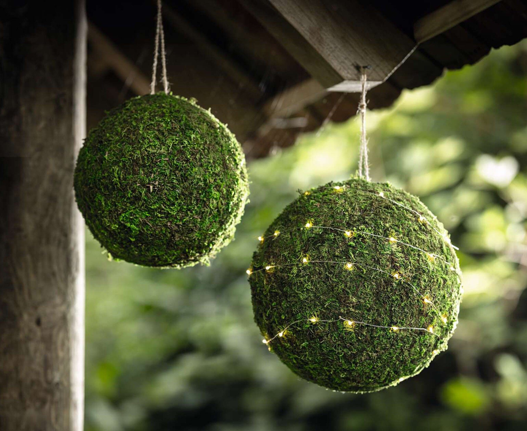 Dekoleidenschaft Dekohänger "Mooskugel" Hängedeko, Dekokugeln, Fensterdeko, günstig online kaufen