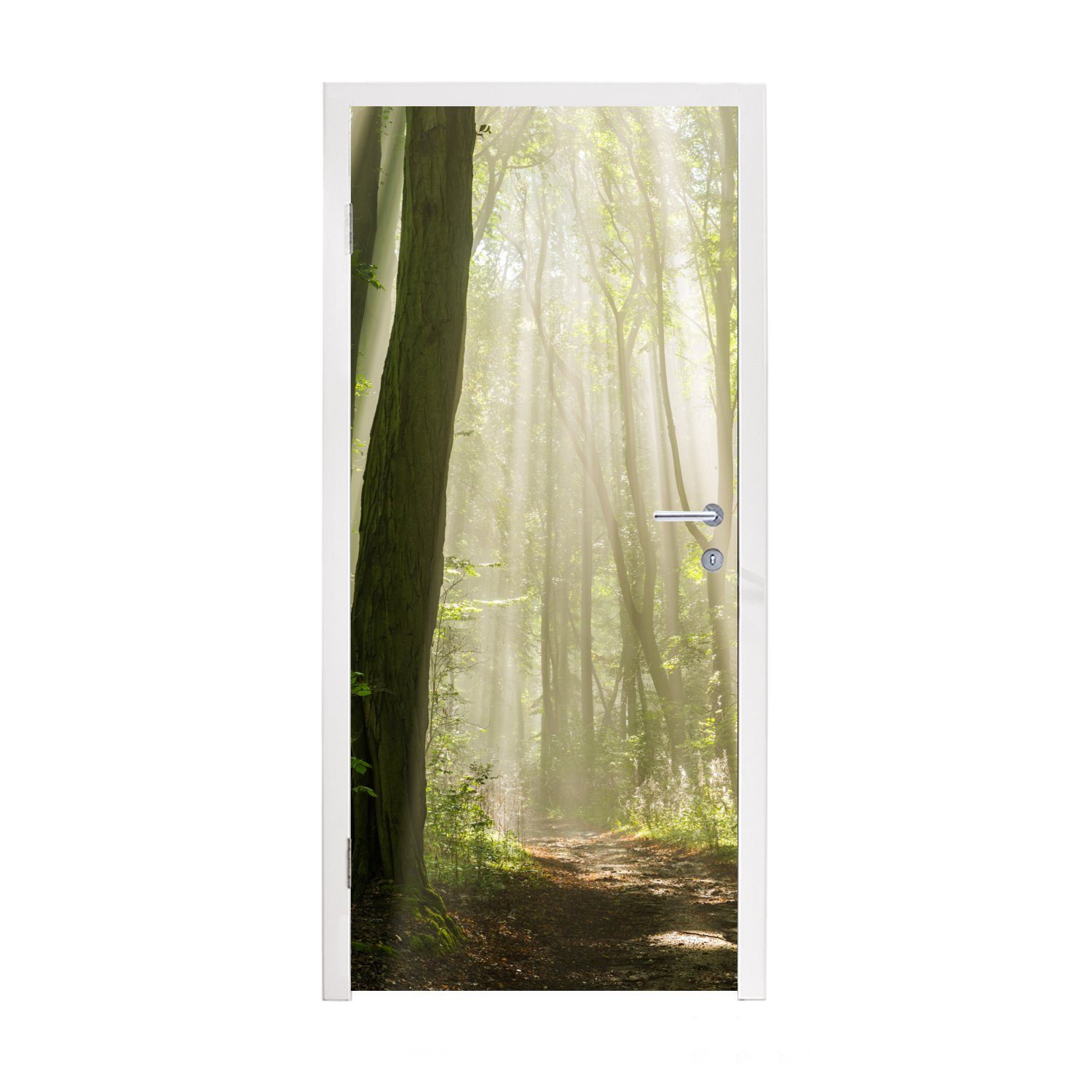 MuchoWow Türtapete Wald - Licht - Natur - Landschaft, Matt, bedruckt, (1 St), Fototapete für Tür, Türaufkleber, 75x205 cm