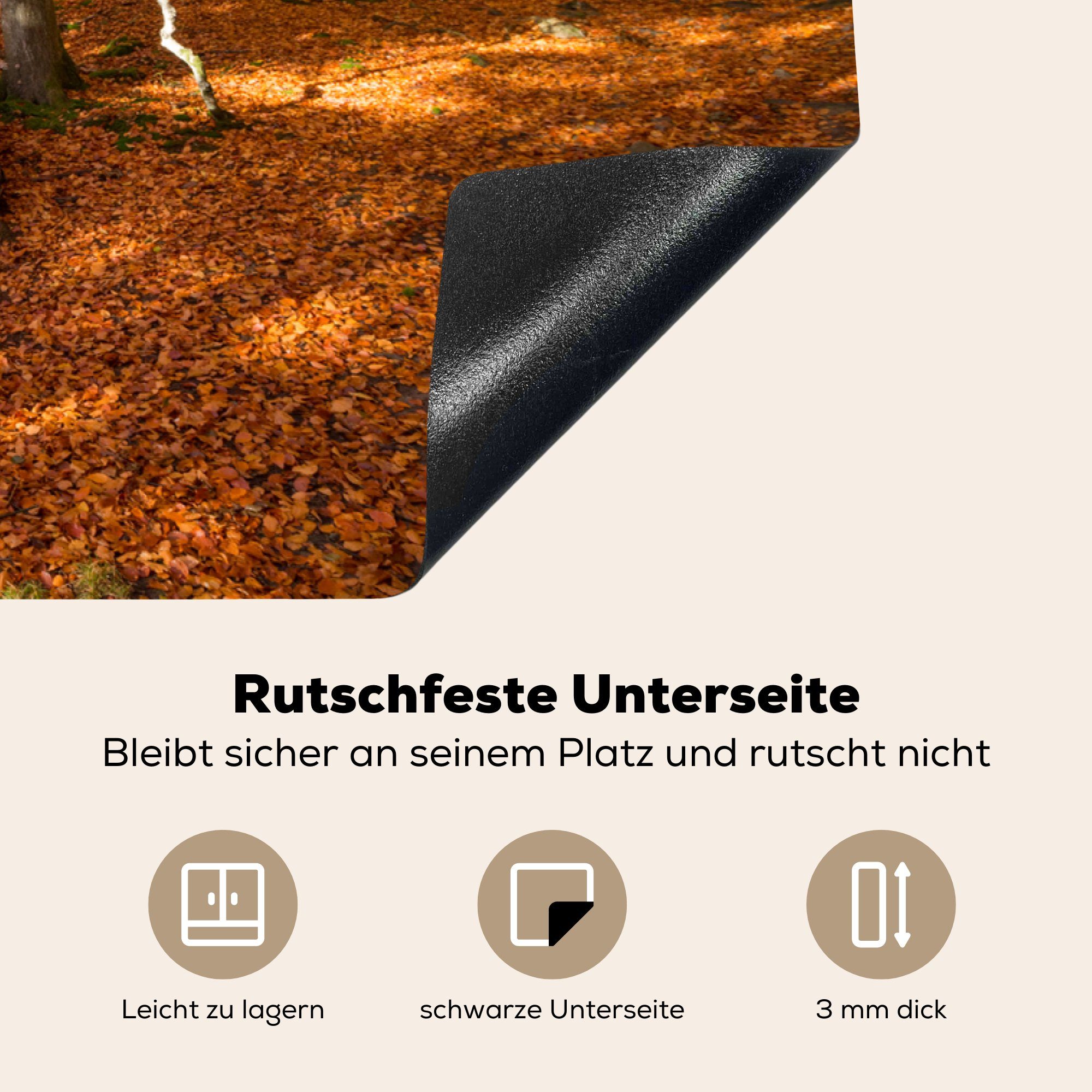 MuchoWow Herdblende-/Abdeckplatte Induktionskochfeld 81x52 für Ceranfeldabdeckung Buchenwald Schutz cm, (1 die küche, tlg), Vinyl, mit Herbstfarben