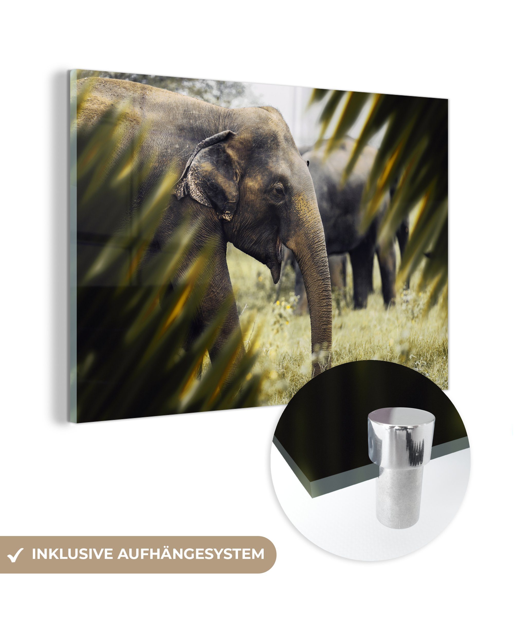 Blätter, - Glas auf auf MuchoWow Glasbilder - Bilder Wanddekoration - Natur Wandbild Acrylglasbild - Glas Foto Elefant (1 - St),