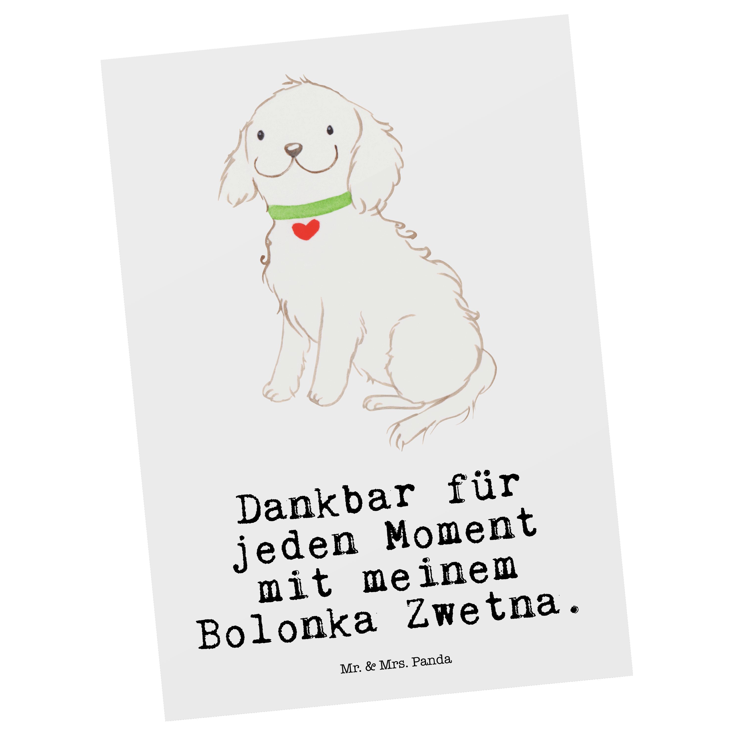 Mr. & Mrs. Panda Postkarte Bolonka Zwetna Moment - Weiß - Geschenk, Geburtstagskarte, Welpe, Ein