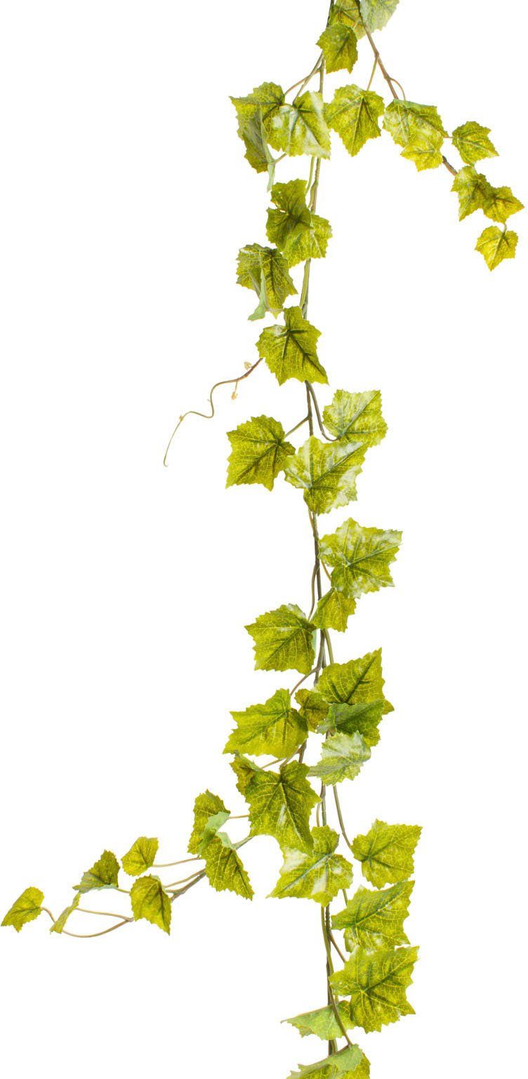 Künstliche Zimmerpflanze 180 Höhe Weinlaub, Botanic-Haus, Weinlaubgirlande cm