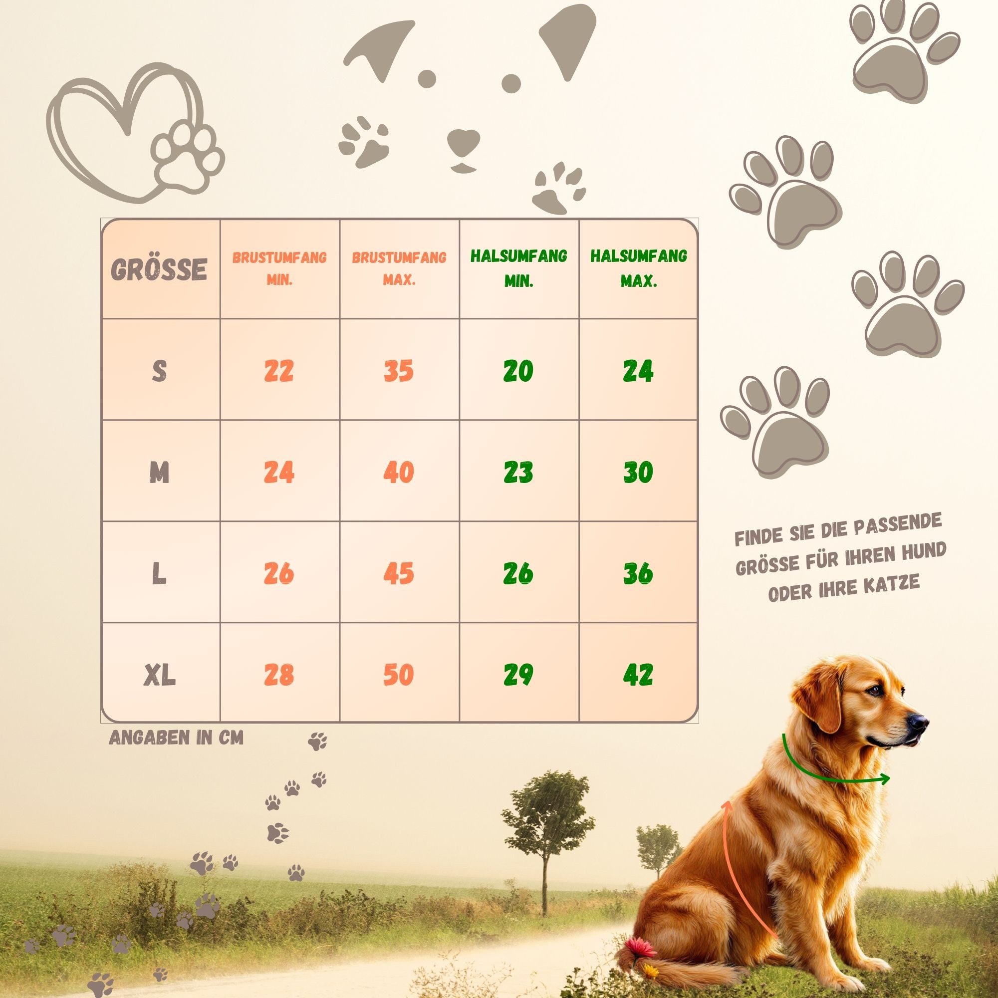 Eyecatcher Hunde-Geschirr Verstellbares Hunde-Geschirr-Set aus atmungsaktivem Mesh mit Leine (4