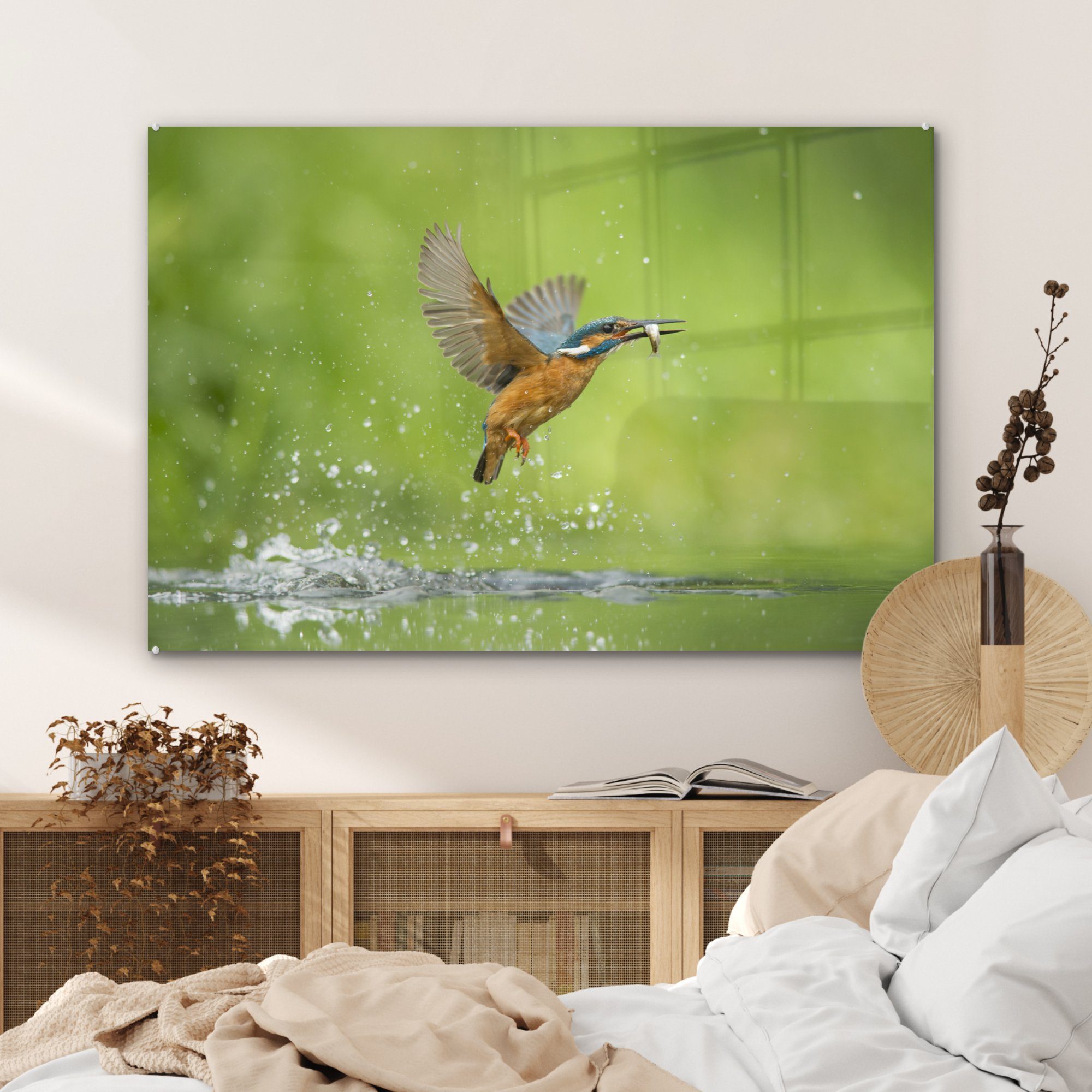 - St), Acrylglasbild Acrylglasbilder Wohnzimmer Schlafzimmer Eisvogel - (1 Tiere, & MuchoWow Fische