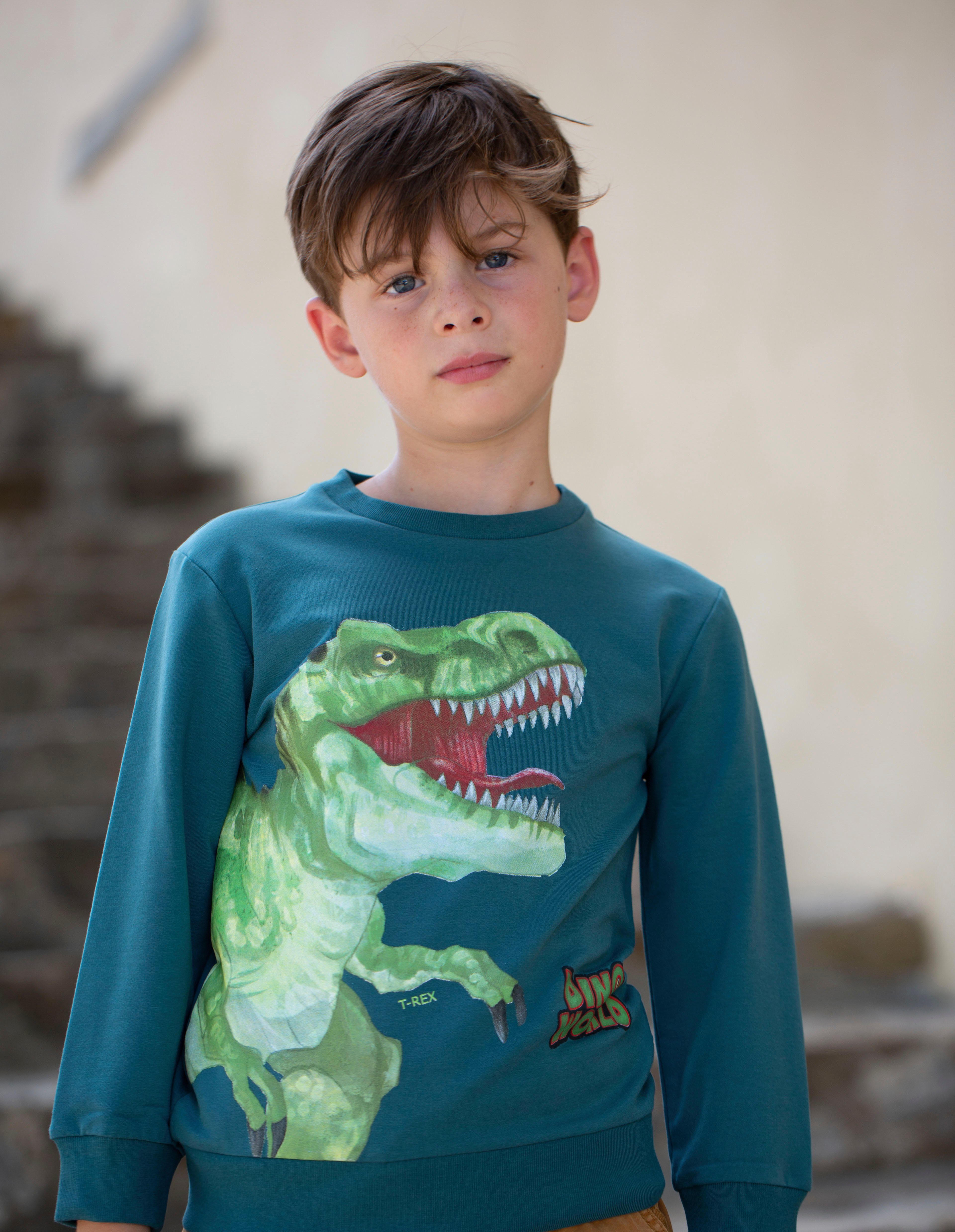 Dino World Sweatshirt Dino World Sweatshirt