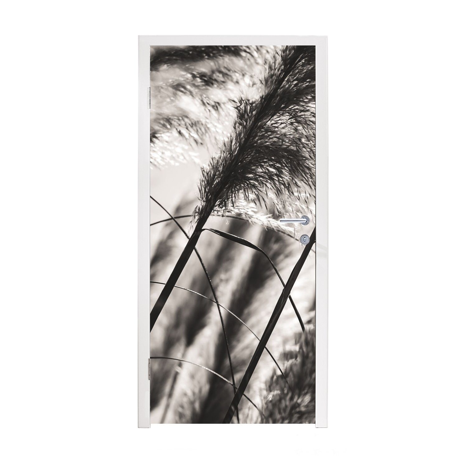 MuchoWow Türtapete Pampasgras - Schwarz - Weiß - Pflanze, Matt, bedruckt, (1 St), Fototapete für Tür, Türaufkleber, 75x205 cm