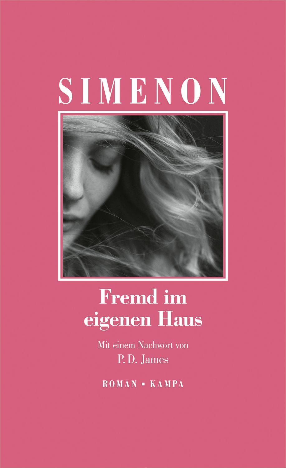 Fremd im eigenen Haus / Georges Simenon