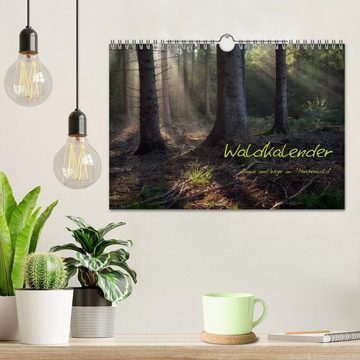 CALVENDO Wandkalender Waldkalender (Wandkalender 2024 DIN A4 quer), CALVENDO Monatskalender