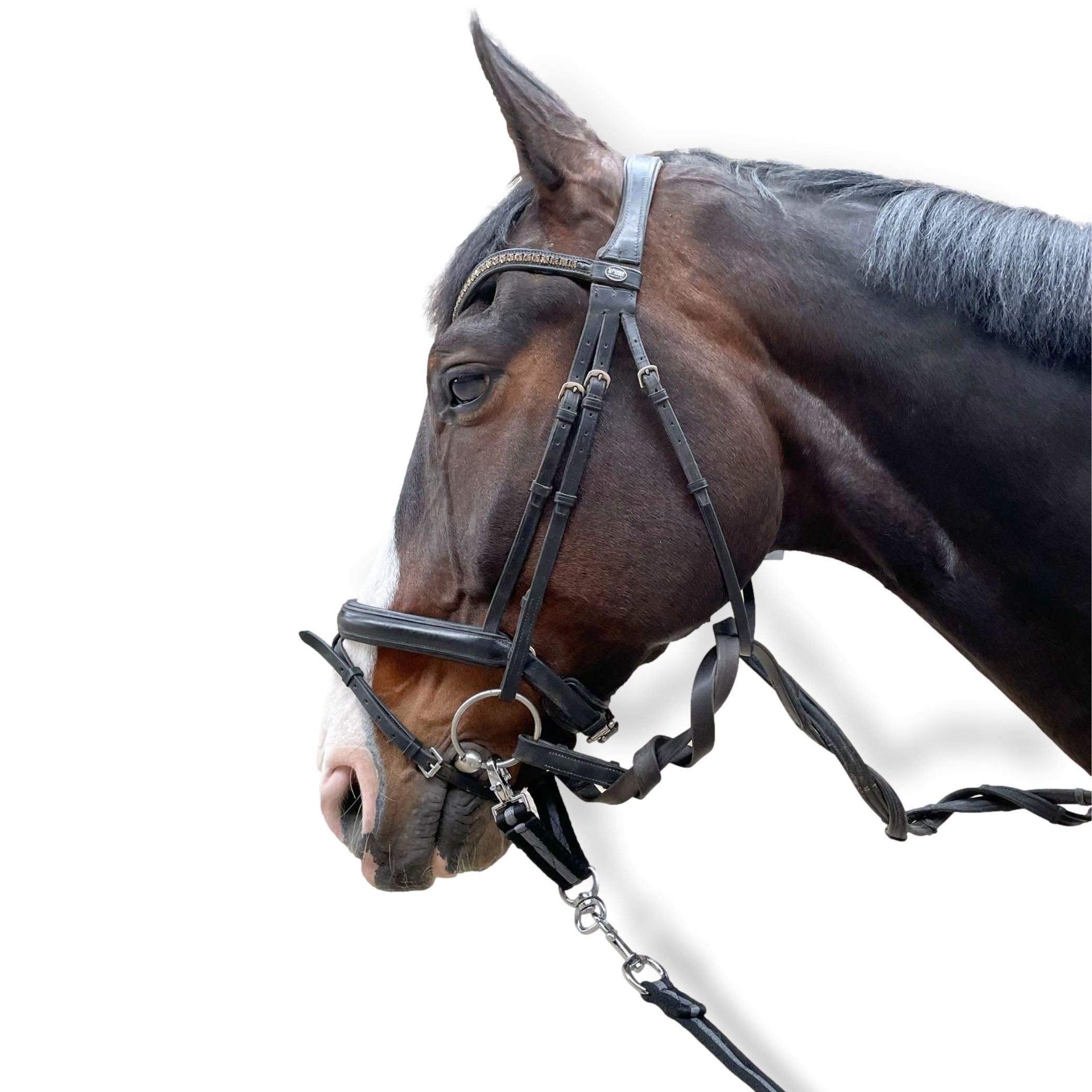 Pferdelinis Führleine Longierbrille Pferd mit Karabiner, für Longieren, Gymnastizieren, Verbindung beider Gebissringe
