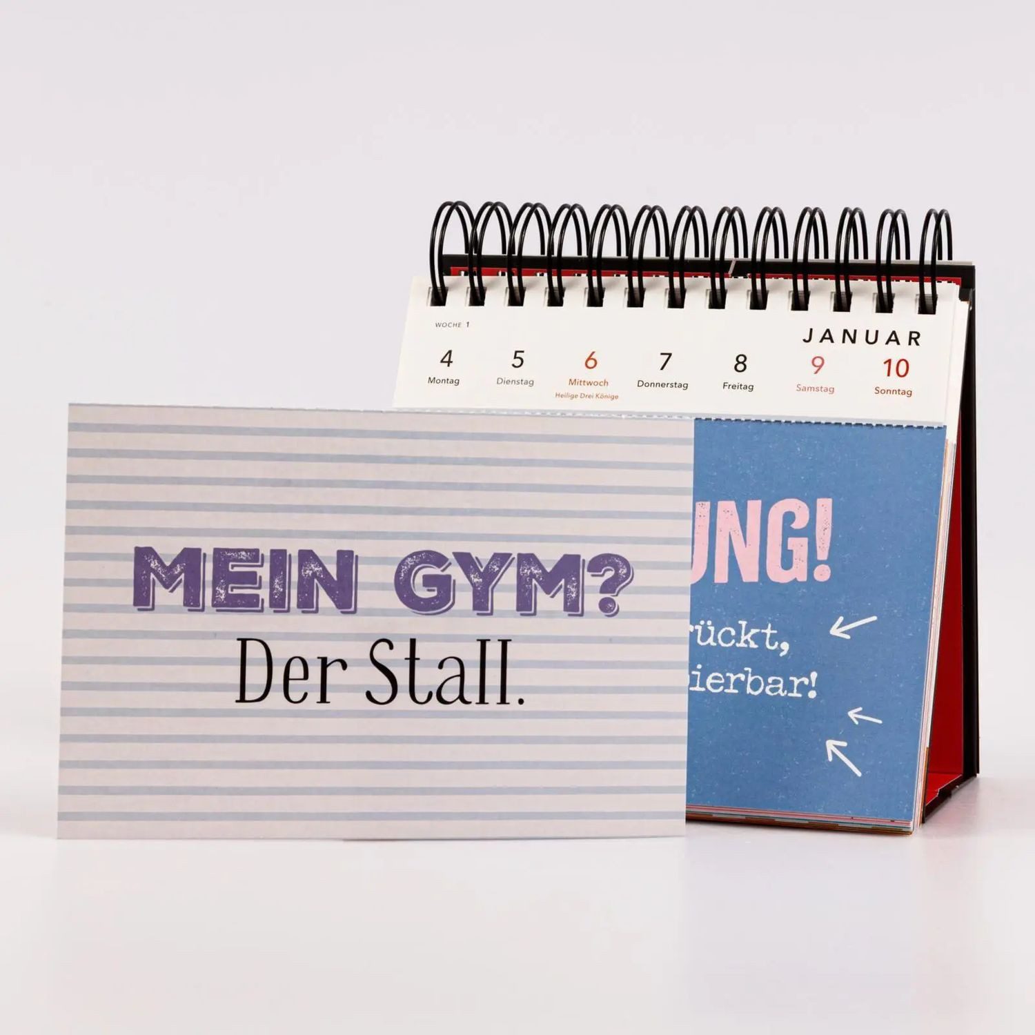 Lappan Verlag Tischkalender Pferdemädchen 2027 - Zum Reiten geboren, zum Ausmisten verdammt.