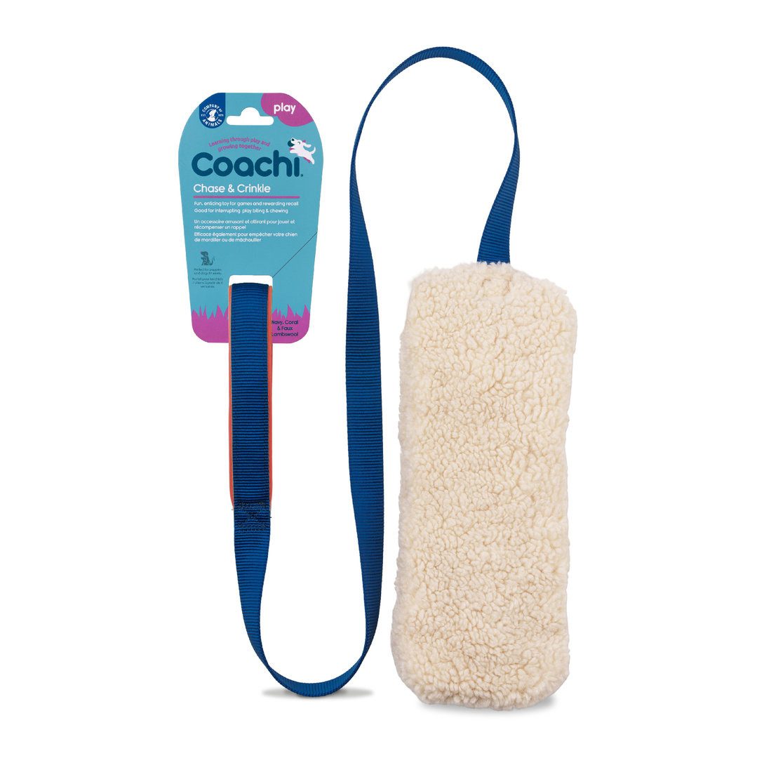 Tier-Intelligenzspielzeug Coachi Chase & Crinkle, ideal zum Spielen & Jagen.Für Hunde und Welpen